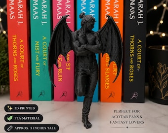 ACOTAR Cassian Fae-beeldje met gevleugelde lezer – fantasie boekenplankinzet