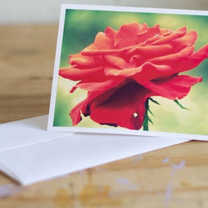 10 Count Blank 5x7 Matte Photograph Greeting Cards 60lb Photo Grade