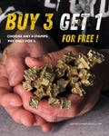 Buy 3 stamps and get 1 FOR FREE product logo