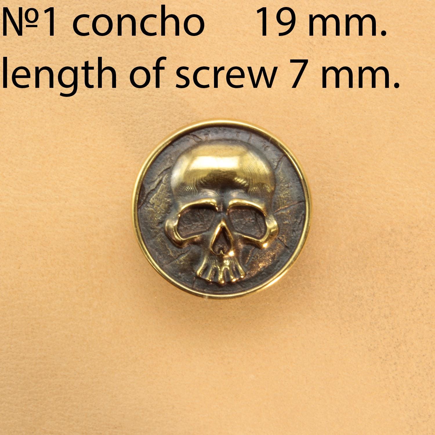 5 Stck. 1-3/8 Zoll Schwerer Drache Concho Schraubverschluss Zum