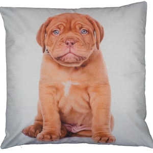 Dogue de Bordeaux Breed of Dog Puppy Themed Cushion Cover