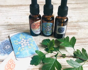 Hawthorn, Bee and Wolf Essences - Celtic Medicine Wheel Essence, Tree Essence, Animal Guide Essence, made in Cornwall UK
