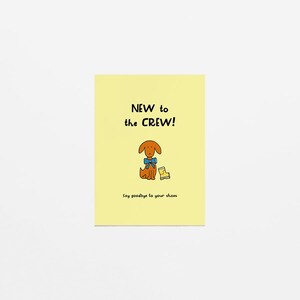 New dog | New to the crew! Say goodbye to your shoes