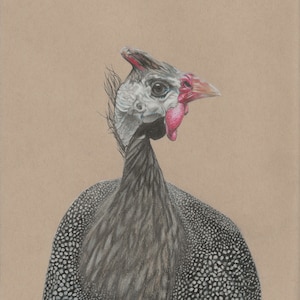 Guinea - Original Art - Print - greeting cards, Guinea hen art