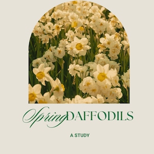 Puede incluir: Un juego de tres tazas de cerámica con un acabado moteado y mate. Las tazas son de color crema, gris claro y gris oscuro. Cada taza tiene un diseño simple y minimalista, ideal para café o té.