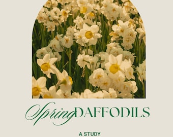 Daffodils: a Springtime Study