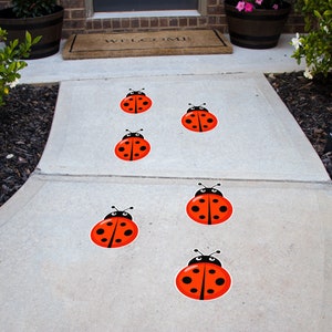 May include: A concrete walkway with six red ladybug stickers placed in a line. The stickers are about 4 inches in diameter and have black spots and eyes.