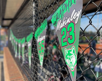 Baseball/Softball Custom Team Pennants with Case • Heavy Duty Customizable 18" x 14"  Dugout Flag Banners