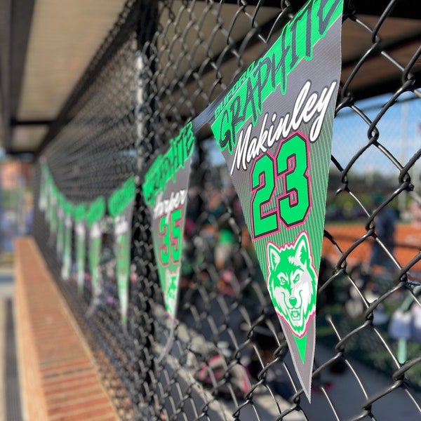 Baseball/Softball Custom Team Pennants with Case • Heavy Duty Customizable 18" x 14"  Dugout Flag Banners