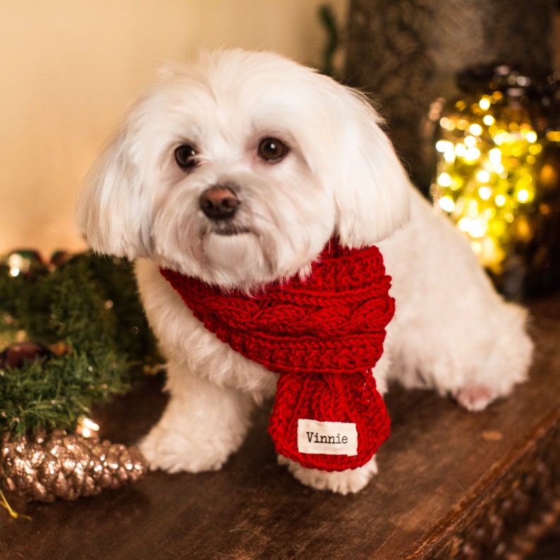Personalized Pet Scarf Custom Name Knit Dog Scarf Dogs Neck | Etsy