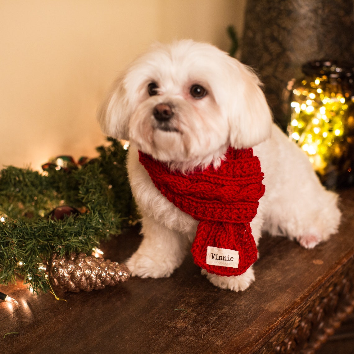 Personalized pet scarf Custom name knit dog scarf dogs neck Etsy