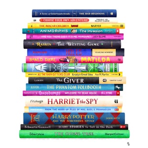 May include: A stack of colorful paperback books, including titles like "The Bad Beginning", "The Boxcar Children", "Animorphs", "The Westing Game", "Matilda", "The Giver", "Goosebumps", "Harriet the Spy", "Harry Potter and the Sorcerer's Stone", "Scary Stories to Tell in the Dark", and "The Giving Tree".