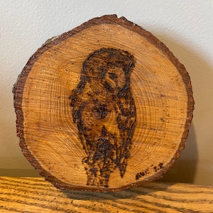 Hand Burned Barn Owl - Pyrography - Custom - Rustic Decor - Wood Burned Art