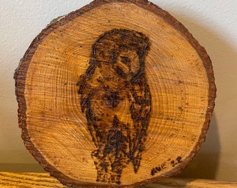 Hand Burned Barn Owl - Pyrography - Custom - Rustic Decor - Wood Burned Art