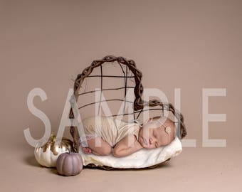 Digital Backdrop/prop newborn - Fall neutral heart cradle with pumpkin digital backdrop