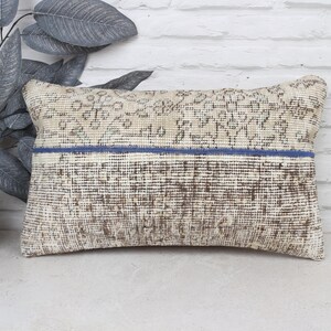 May include: A decorative pillow with a white and brown patterned design. The pillow has a blue stripe across the center and is made from a woven fabric.