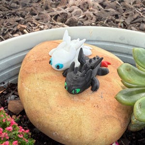 Puede incluir: Dos figuras de dragones, una blanca y otra negra, con ojos azules y verdes, respectivamente, descansan sobre una gran piedra lisa y de color canela. Las figuras est&aacute;n en un jard&iacute;n, rodeadas de plantas y peque&ntilde;as setas decorativas.