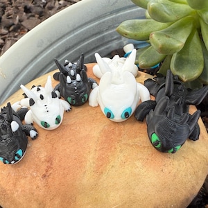 Puede incluir: Un grupo de peque&ntilde;as figuras de dragones impresas en 3D, en blanco y negro, con detalles verdes y azules. Los dragones est&aacute;n colocados sobre una piedra marr&oacute;n, con una planta suculenta en el fondo. Las figuras tienen texturas detalladas.