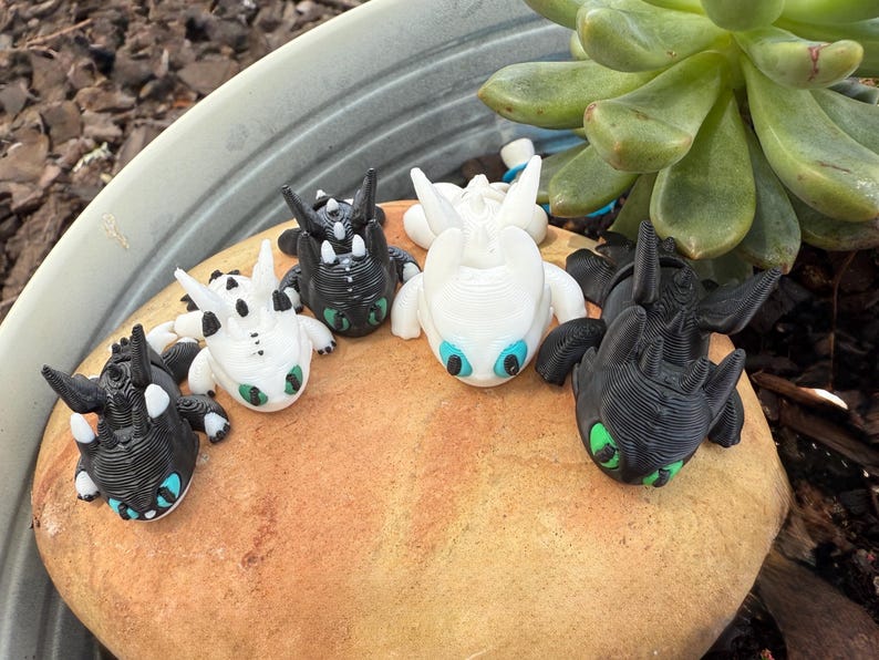 Puede incluir: Un grupo de peque&ntilde;as figuras de dragones impresas en 3D, en blanco y negro, con detalles verdes y azules. Los dragones est&aacute;n colocados sobre una piedra marr&oacute;n, con una planta suculenta en el fondo. Las figuras tienen texturas detalladas.