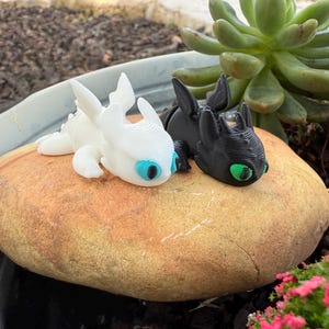 Puede incluir: Dos figuras de dragones, una blanca y otra negra, descansan sobre una gran piedra de color marr&oacute;n claro. El drag&oacute;n blanco tiene ojos azules y el drag&oacute;n negro tiene ojos verdes. Las figuras est&aacute;n sobre un fondo de vegetaci&oacute;n.
