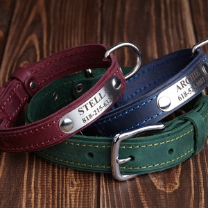 Engraved Leather Dog Collar: Personalized Pet ID
