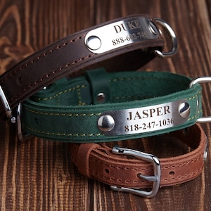 Engraved leather dog collar, Leather Dog Collar, Custom Dog Collar with Name Plate, Cat Collar, Leather Cat Collar, Personalized Collar