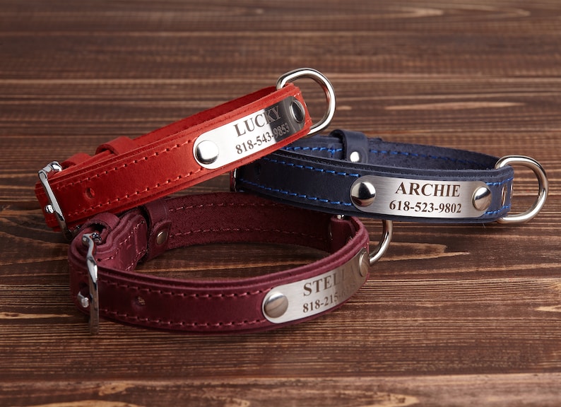 Engraved Leather Dog Collar Leather Dog Collar Custom Dog Etsy