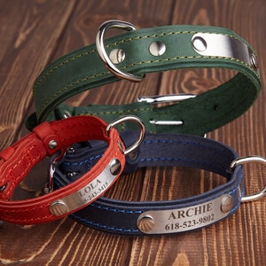 Personalized Leather Dog Collar: Engraved Copper Plate, Custom Pet ID