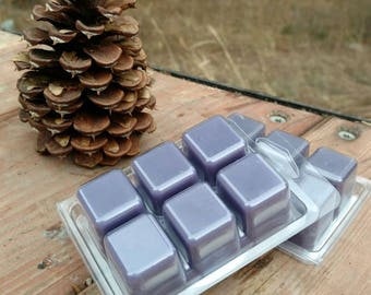 Black Raspberry & Vanilla Wax Melts