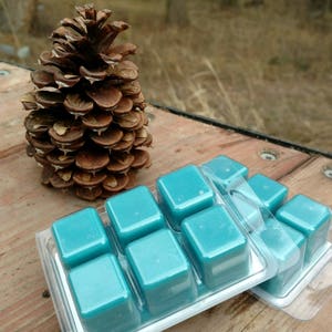 Tropical Wax Melts