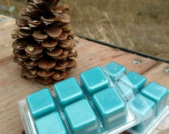 Tropical Wax Melts