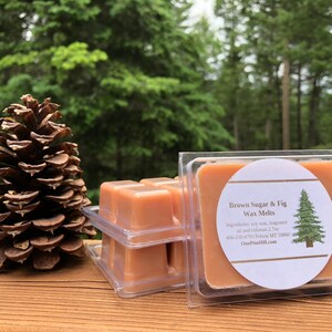 Brown Sugar & Fig Wax Melt