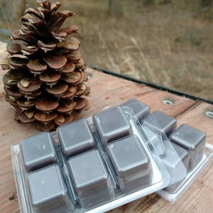 Vanilla Bean Wax Melts
