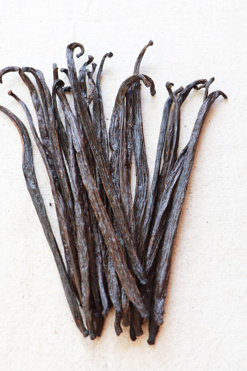 Mexican Vanilla Beans GOURMET grade 50 grams Voladores Etsy