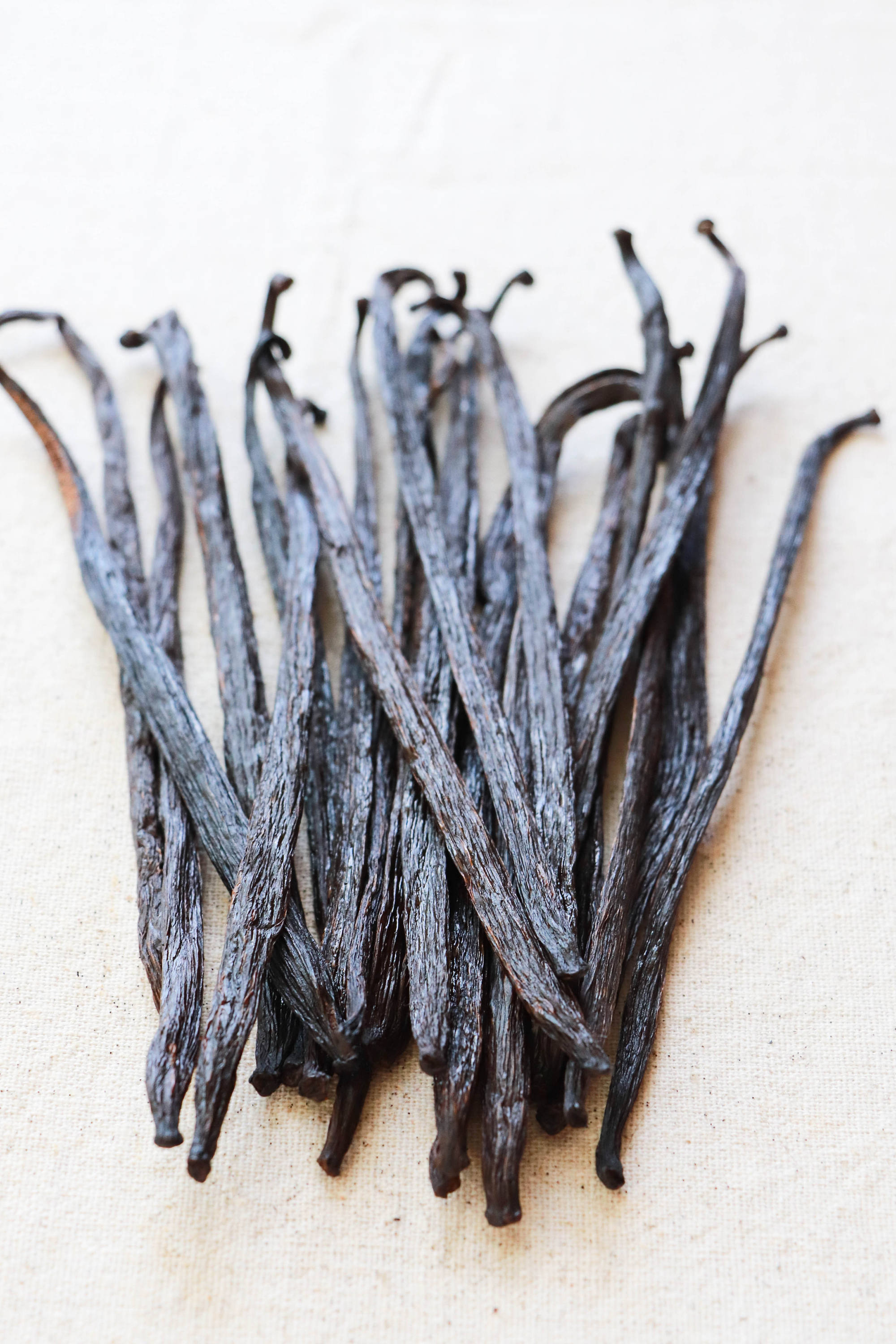 Mexican Vanilla Beans GOURMET grade 50 grams Voladores Etsy