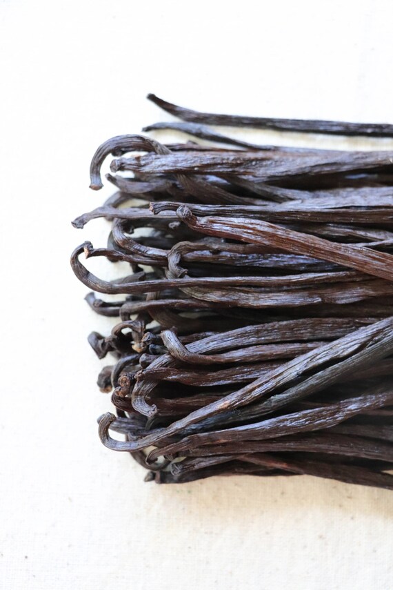 100 grams Extract Grade Mexican Vanilla Beans 48 60 Etsy