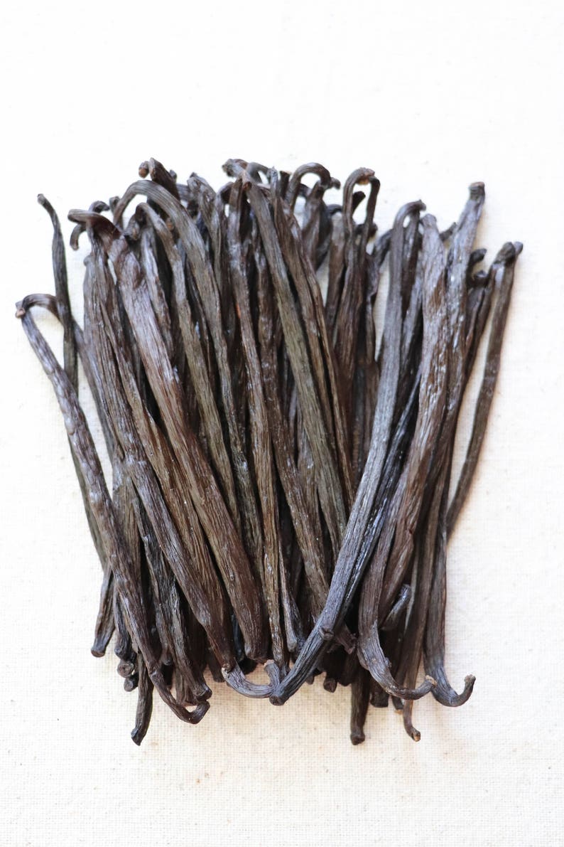 75 grams Extract Grade Mexican Vanilla Beans Voladores Etsy