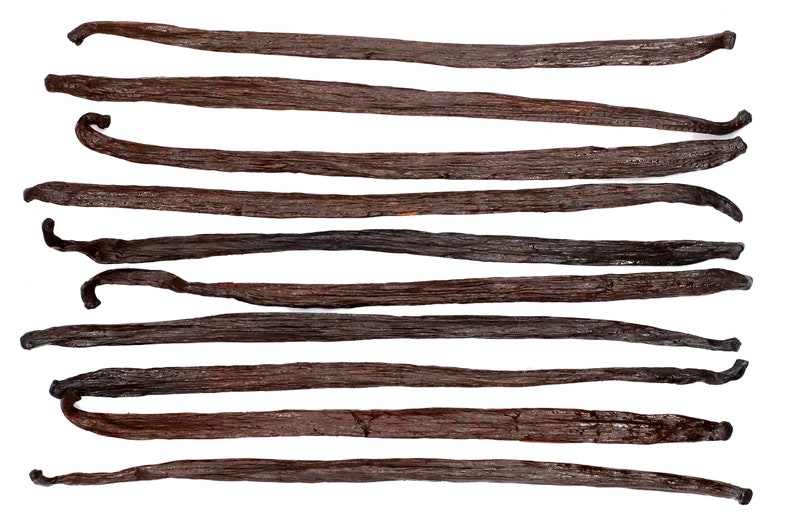 Mexican Vanilla Beans EXTRACT Grade grade B planifolia Etsy