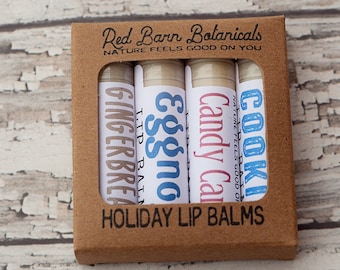 Holiday Gift Set of 4 Lip Balms ~ Fun Christmas Stocking Stuffer, Gifts for Kids, Secret Santa Ideas for Her, Husband Ideas, Teen Presents