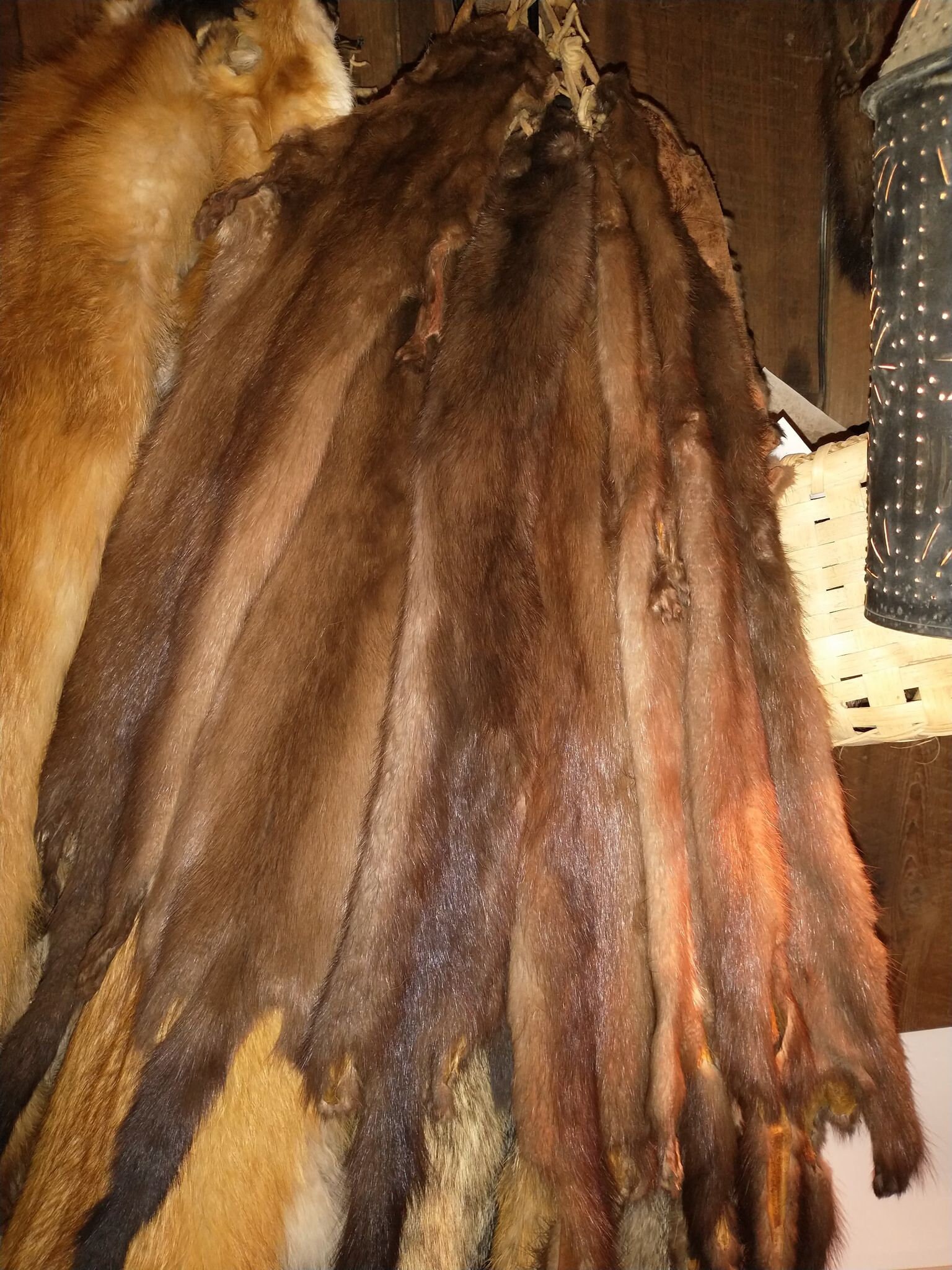Bark Tanned Mink Pelt Etsy