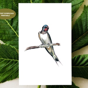 Cartes imprimables | carte de voeux | téléchargement numérique instantané | carte oiseau | carte d'hirondelle | cartes vierges