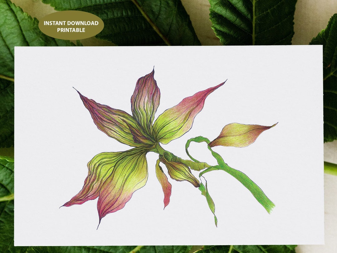 Botanical Flower Card | Printable Floral Art Greeting Card (PDF & JPG ...
