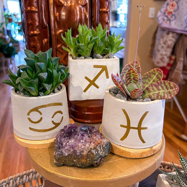 Zodiac Pots, handmade (all astrological signs available)