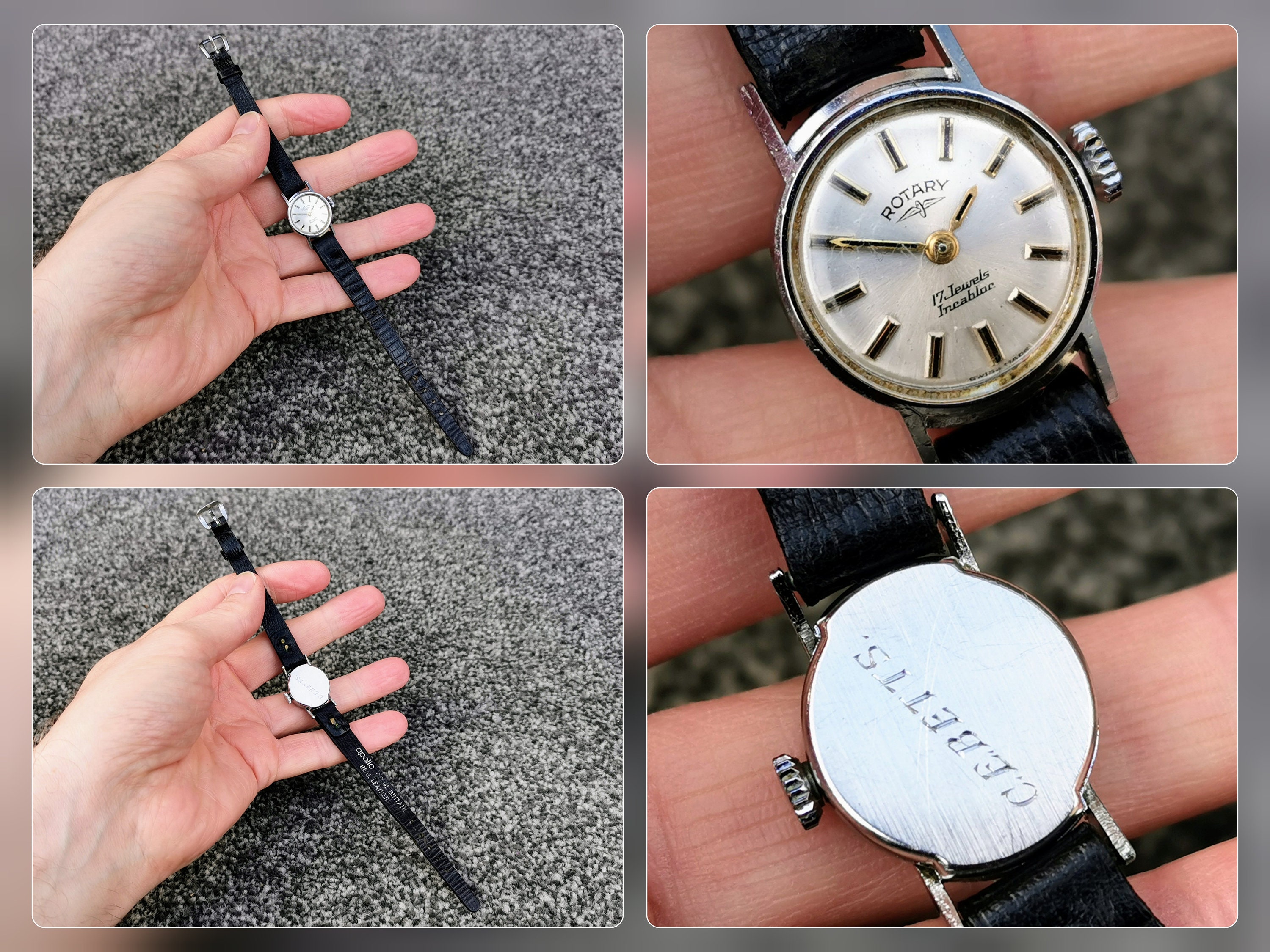 Rotary 17 2025 jewels incabloc value