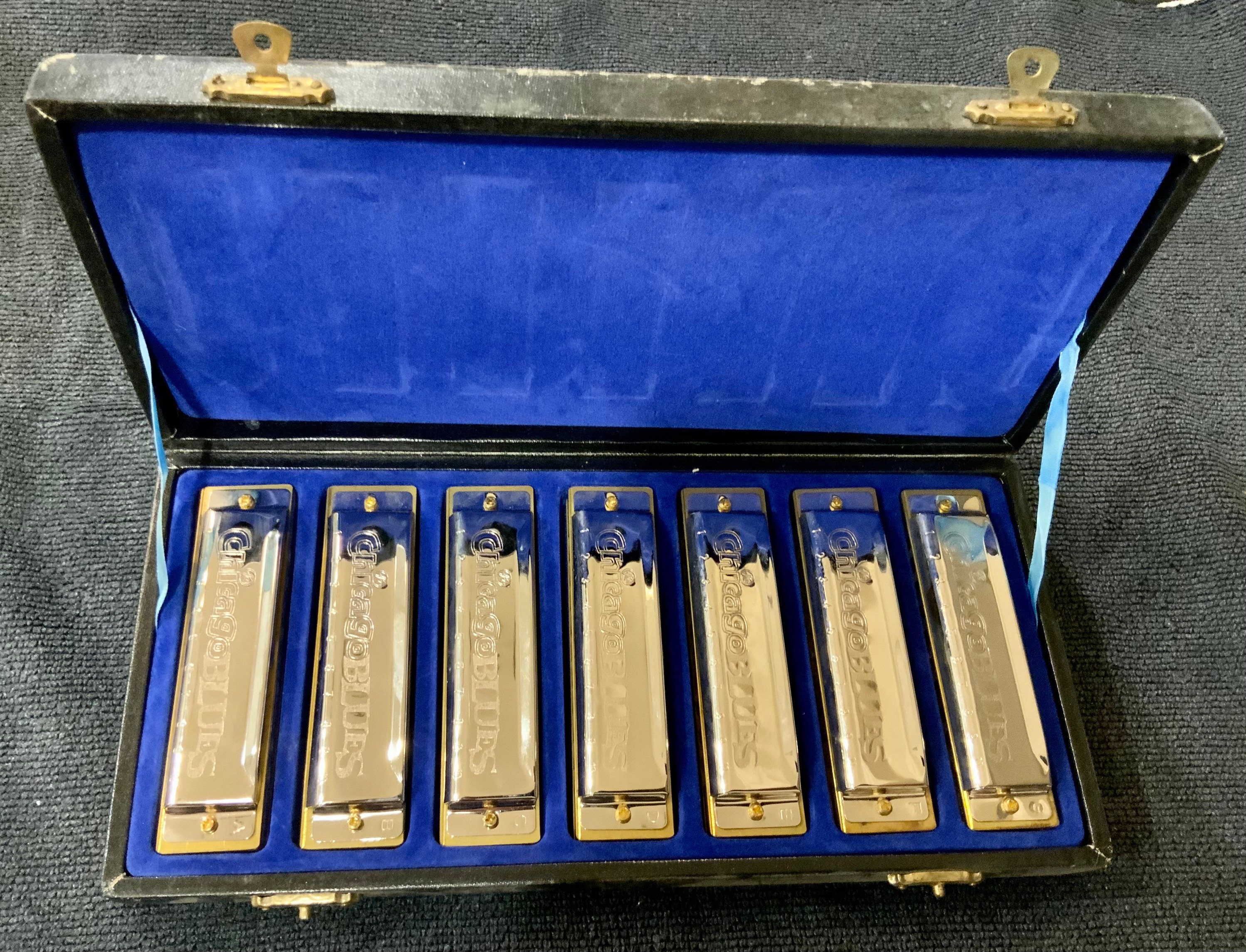 Chicago 2024 blues harmonica