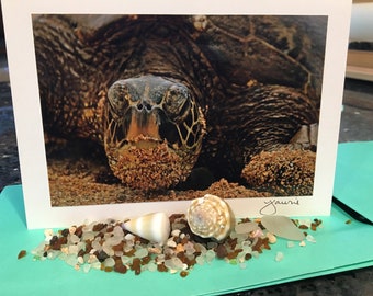 Close Up of Hawaiian Turtle "Honu" Blank Photo Card with Envelope