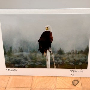 American Bald Eagle Blank Photo Card with Envelope