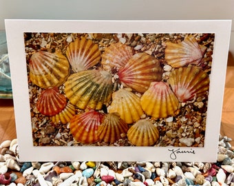 Sun Rise Sea Shells Blank Photo Card with Envelope