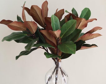 May include: A bouquet of magnolia leaves with green and brown tones arranged in a clear glass vase with a textured surface.