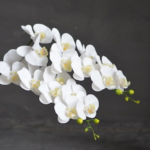 Real touch orchid, Silk orchids, White orchids, Artificial orchid, Real touch flowers, Faux orchids